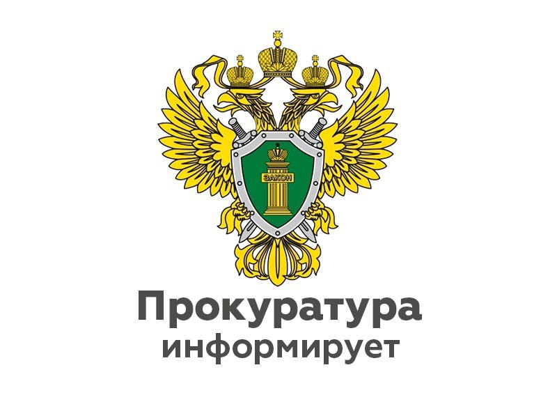 В Хвойной прокуратура требует осуществить отлов бездомных животных.