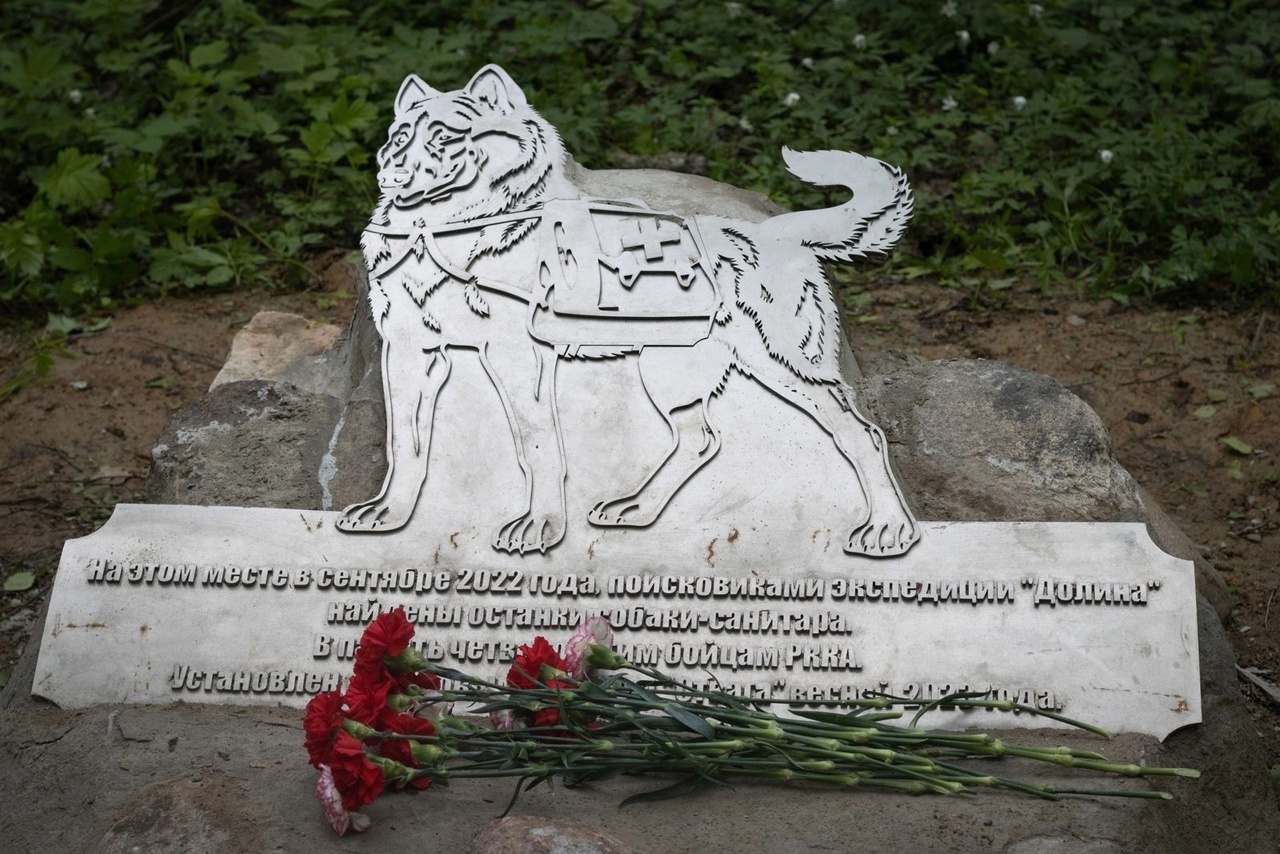 Памятник посвящённый "Собаке - санитару".