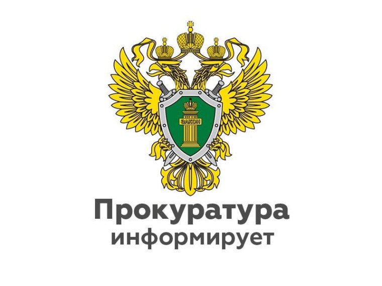 В Хвойной прокуратура требует осуществить отлов бездомных животных. В Хвойной прокуратура требует осуществить отлов бездомных животных.